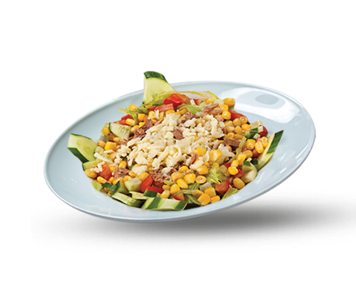 TON BALIKLI SALATA